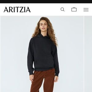 Aritiza Cozy fleecy perfect hoodie